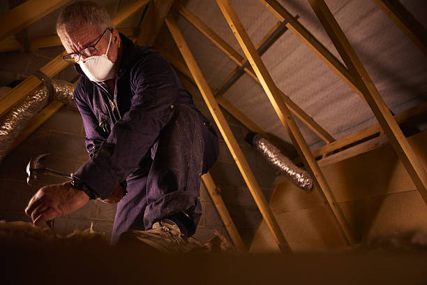 Best Specialty Insulation in Unadilla, GA
