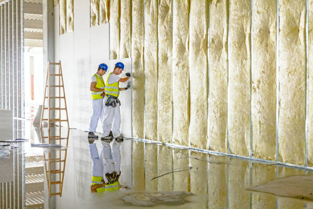 Best Residential Insulation in Unadilla, GA